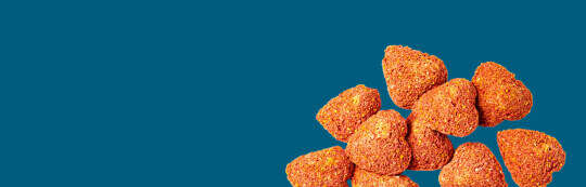 raika Banner Leckerbissen